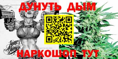 прущие грибы Дубна