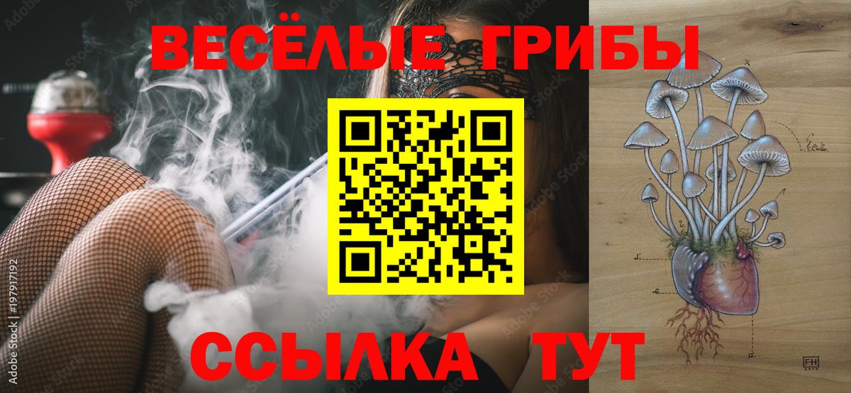 Галлюциногенные грибы мицелий  Вход с VPN  Минеральные Воды 